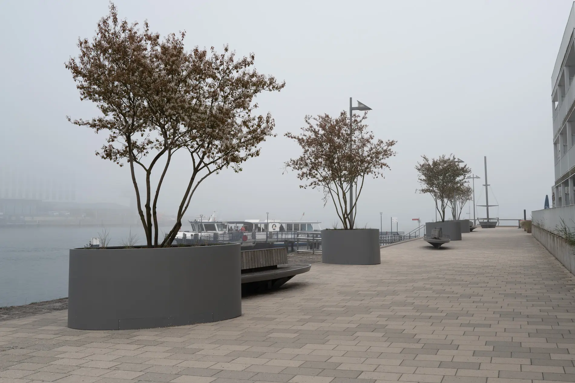 Begrünung Priwallpromenade
