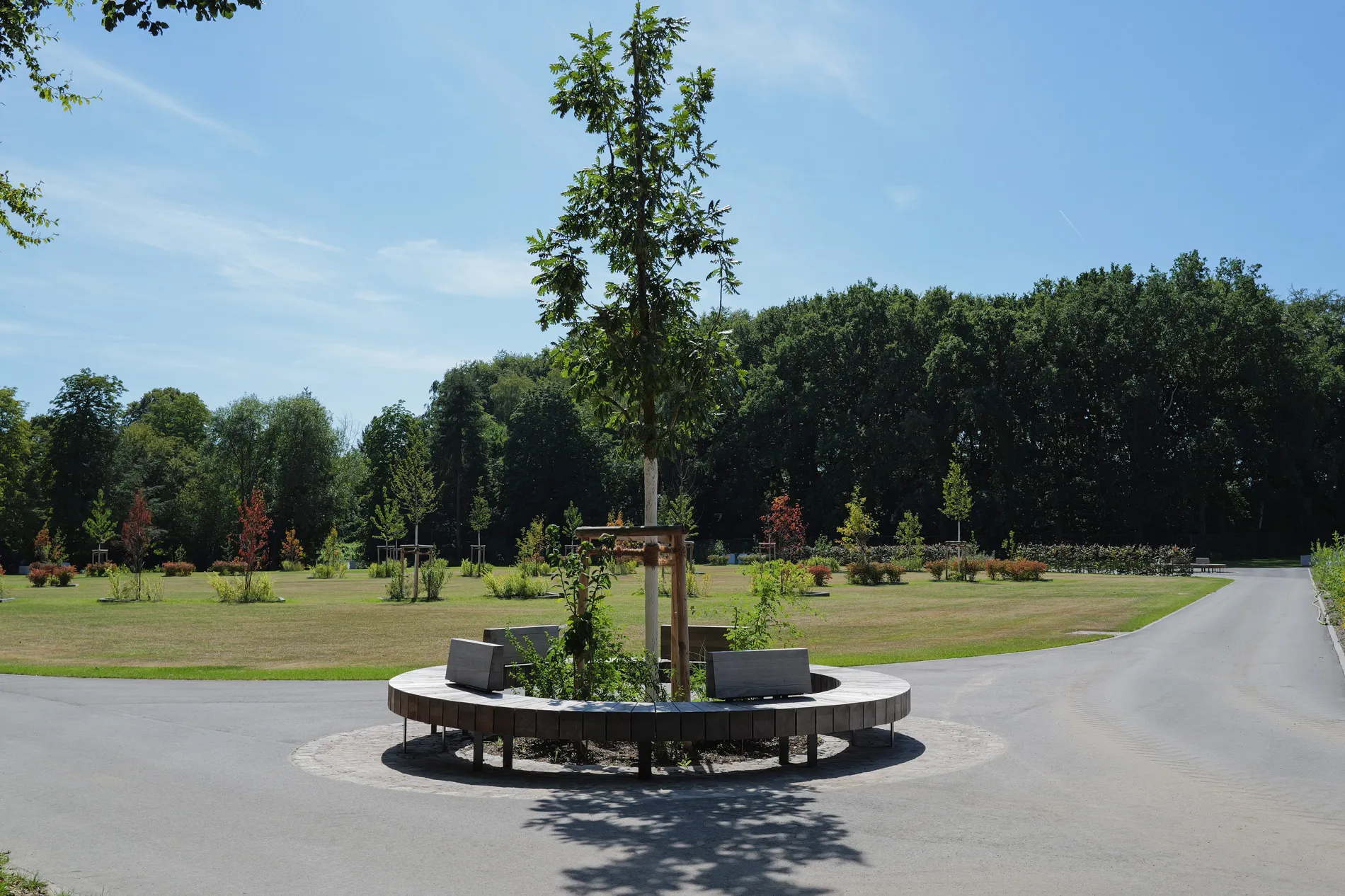 Bank Green Yard